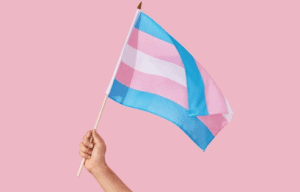 Leia mais sobre o artigo Aposentadoria de Transexuais e Transgêneros é possível? Como solicitar?